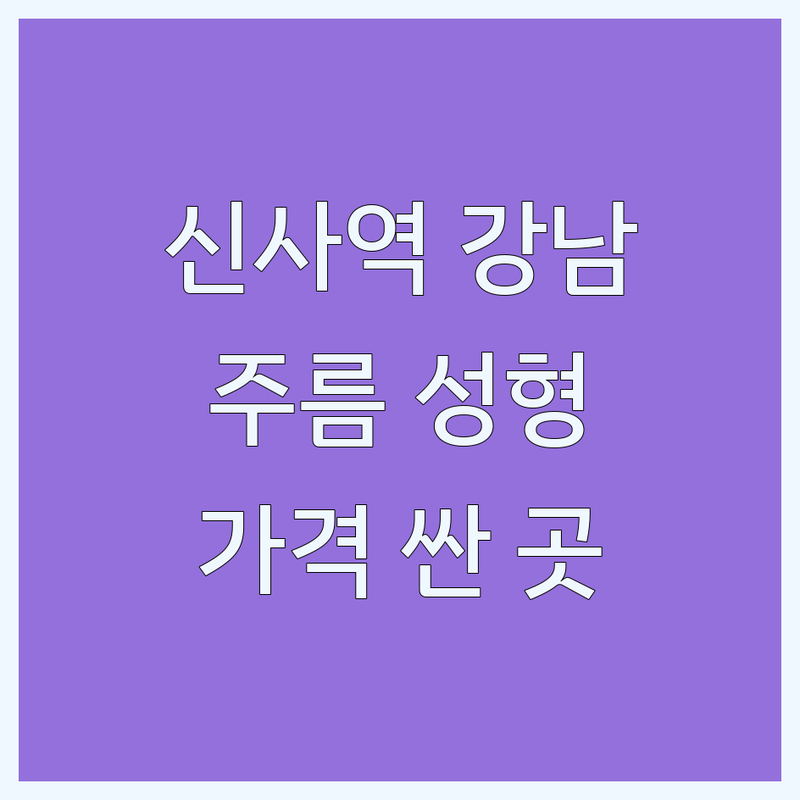 신사역 강남 주름성형 가격싼 곳 업체 추천 | 성형외과 리프팅 비용 잘하는 곳 | 안면거상 팔자주름 눈밑지방재배치 | 동안성형 실버성형 노화개선 | 경험자 후기 솔직한 조언
