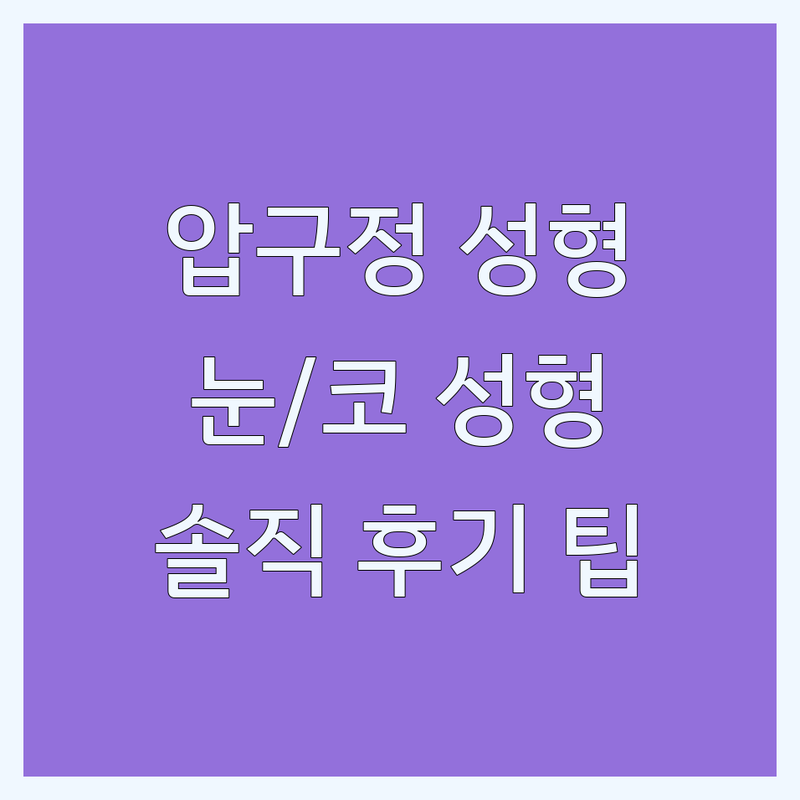 압구정 성형외과전문 저렴한 곳 추천 | 눈성형 코성형 비용 잘하는 곳 | 흉터제거 재수술 필러 부작용 개선 | 자연유착 매몰법 비절개 | 솔직 후기 주의사항 관리 팁