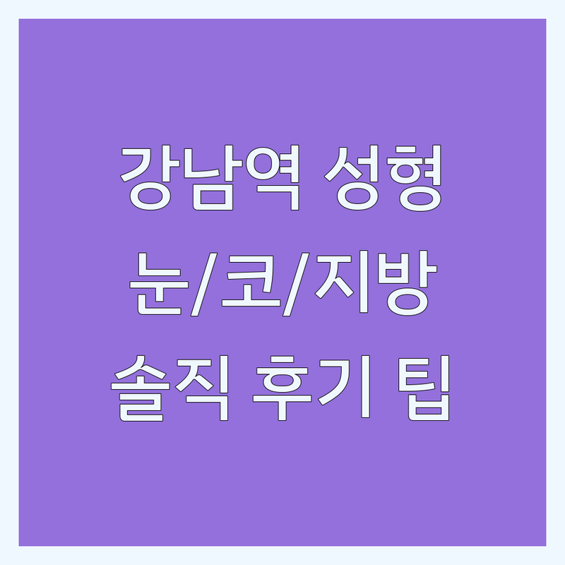 강남역 성형외과전문의 저렴한 곳 가격싼 곳 업체 추천 | 눈 코 지방이식 재수술 잘하는 곳 | 강남 신사역 성형수술 상담 비용 | 부작용 관리 사후관리 | 솔직한 후기와 팁
