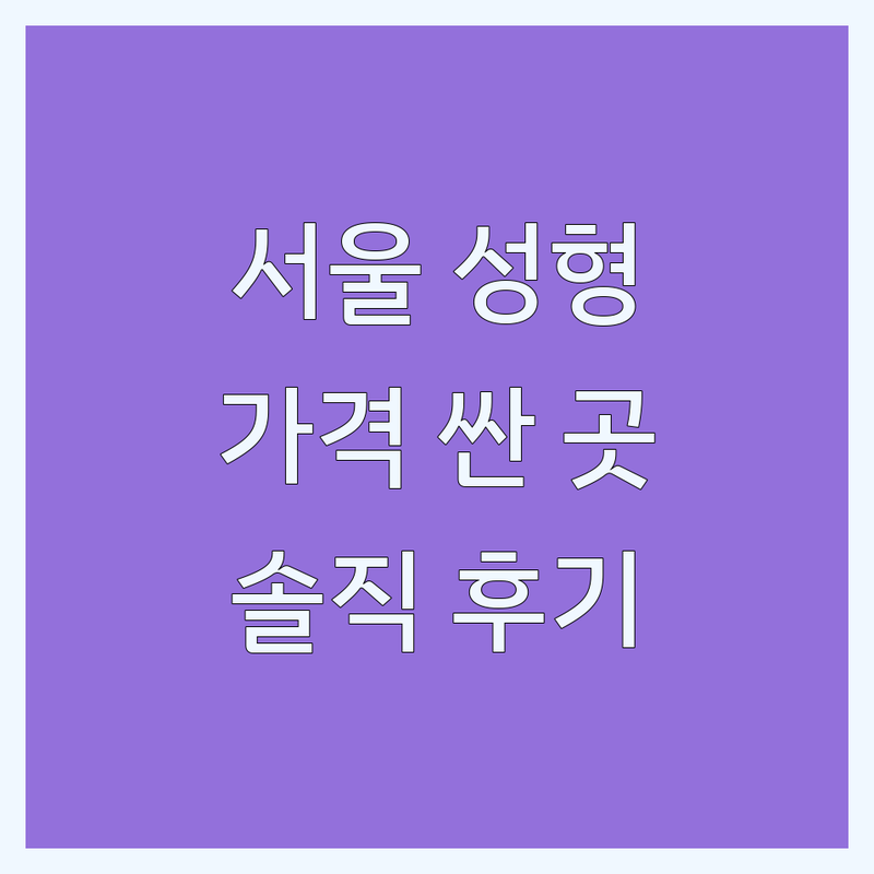 서울 도심 성형외과 저렴한 곳 가격싼 곳 업체 추천 | 눈성형 코성형 필러 보톡스 비용 가격 잘하는 곳 | 지방흡입 가슴성형 리프팅 흉터 치료 | 전문의 상담 솔직 후기 주의사항 | 첫 방문 할인 이벤트
