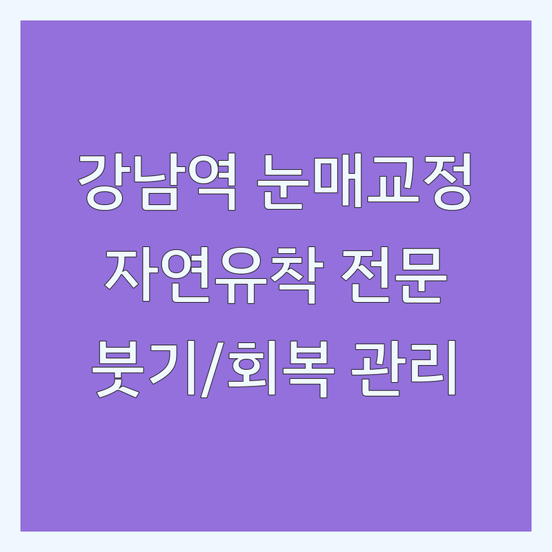 신사역 역삼역 강남 성형외과 비절개눈매교정 잘하는 곳 | 눈매교정 비용 가격 후기 좋은 곳 | 자연유착 매몰법 재수술 | 눈성형 코성형 눈밑지방재배치 | 부작용 회복기간 붓기 관리 전문의 상담