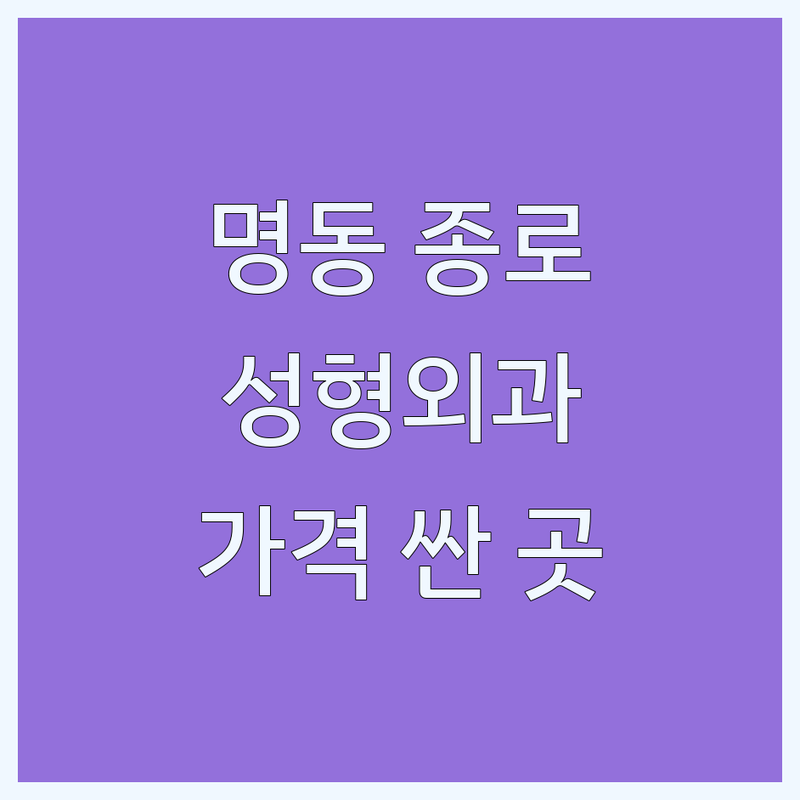서울 명동 종로 성형외과 저렴한 곳 가격싼 곳 업체 추천 | 성형외과 비용 가격 잘하는 곳 | 쌍꺼풀 코성형 리프팅 보톡스 필러 | 메디컬타투 피부과 시술 | 안전한 친절한 후기 좋은 병원