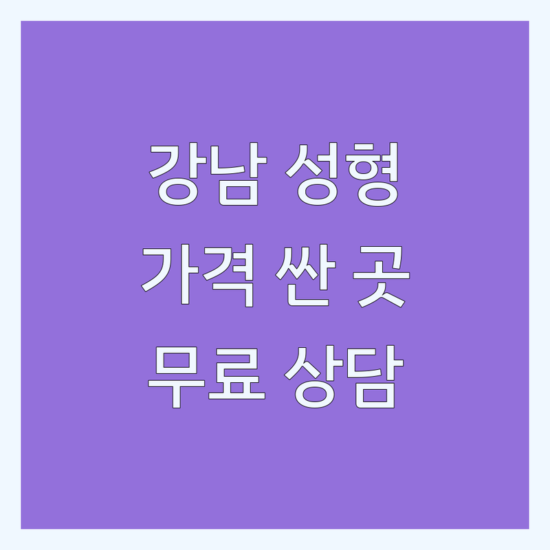 강남 성형외과상담 저렴한 곳 가격싼 곳 업체 추천 | 성형수술 비용 가격 잘하는 곳 | 눈코입 성형 재수술 | 보톡스 필러 리프팅 | 지방이식 가슴확대 무료상담